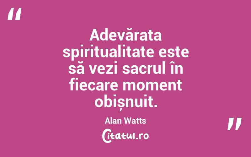 Adevărata spiritualitate este să vezi sacrul în fiecare moment obișnuit. Alan Watts
