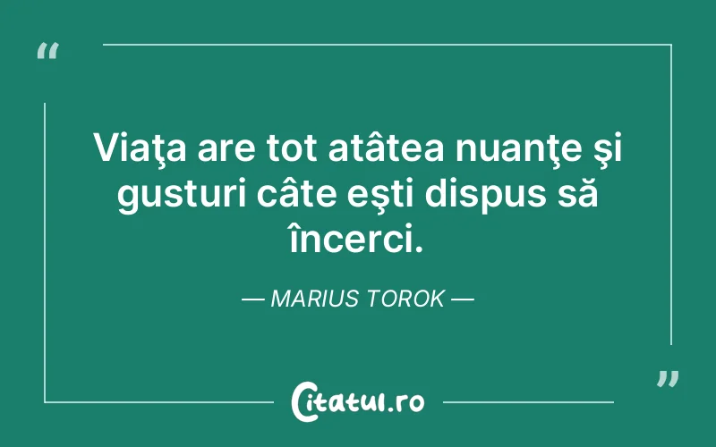 Citat Marius Torok - citate spiritualitate