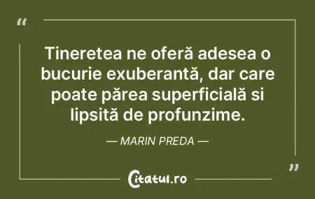 Tinerețea ne oferă adesea o bucurie ex... Tinerețea ne oferă adesea o bucurie ex...