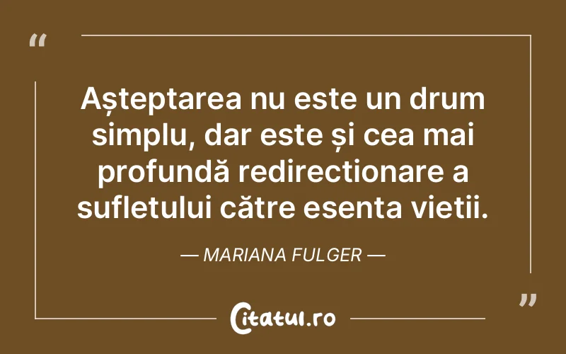Citat Mariana Fulger - citate spiritualitate
