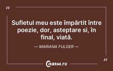 Sufletul meu este împărțit între poe... Sufletul meu este împărțit între poe...