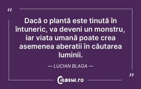 Dacă o plantă este ținută în întun... Dacă o plantă este ținută în întun...