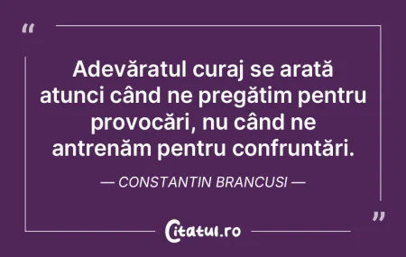 Adevăratul curaj se arată atunci când... Adevăratul curaj se arată atunci când...