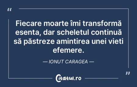 Fiecare moarte îmi transformă esența,... Fiecare moarte îmi transformă esența,...