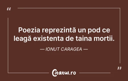 Poezia reprezintă un pod ce leagă exis... Poezia reprezintă un pod ce leagă exis...
