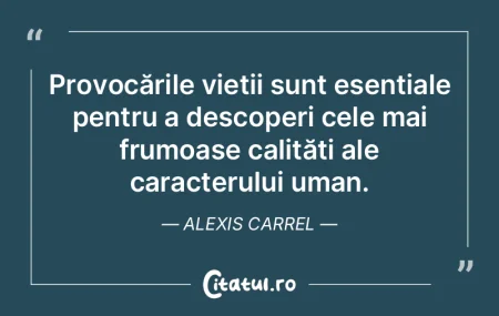 Provocările vieții sunt esențiale pen... Provocările vieții sunt esențiale pen...