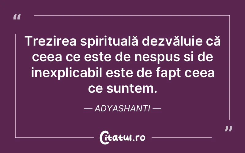 Trezirea spirituală dezvăluie că ceea ce este de nespus și de inexplicabil este de fapt ceea ce suntem. Adyashanti