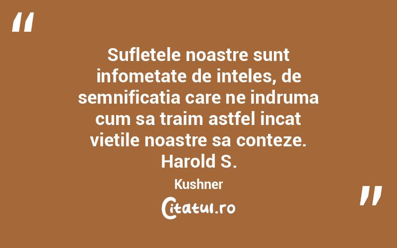 Sufletele noastre sunt infometate de inteles, de semnificatia care ne indruma cum sa traim astfel incat vietile noastre sa conteze. Harold S. Kushner
