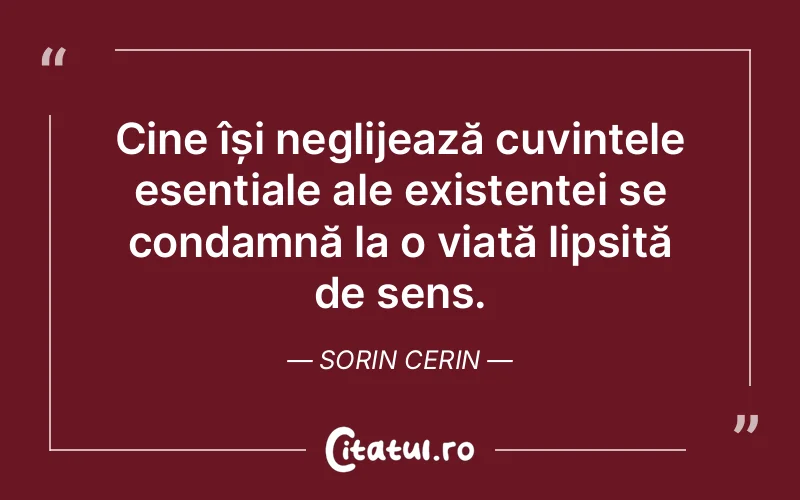 Citat Sorin Cerin - citate spiritualitate