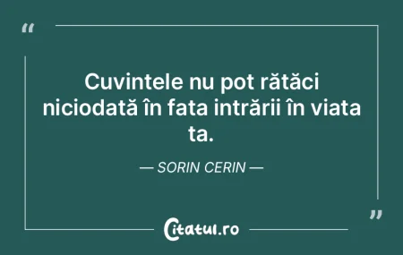 Cuvintele nu pot rătăci niciodată în... Cuvintele nu pot rătăci niciodată în...