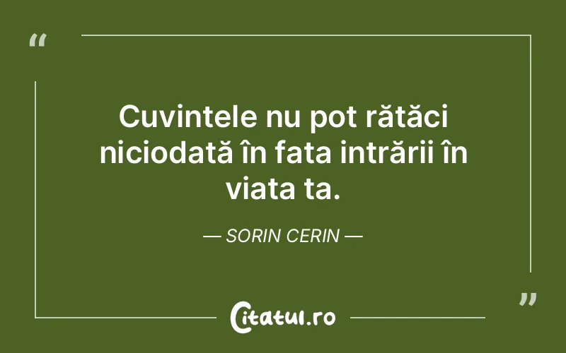 Citat Sorin Cerin - citate spiritualitate