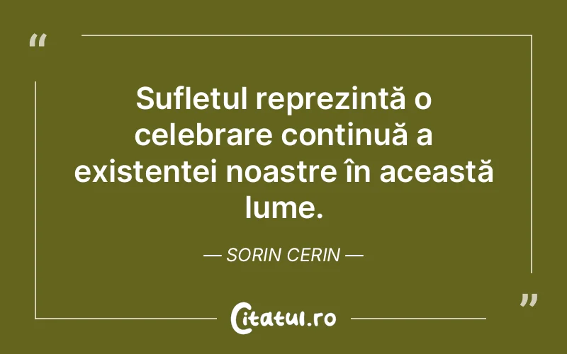 Citat Sorin Cerin - citate spiritualitate