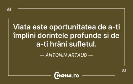 Viața este oportunitatea de a-ți împl... Viața este oportunitatea de a-ți împl...