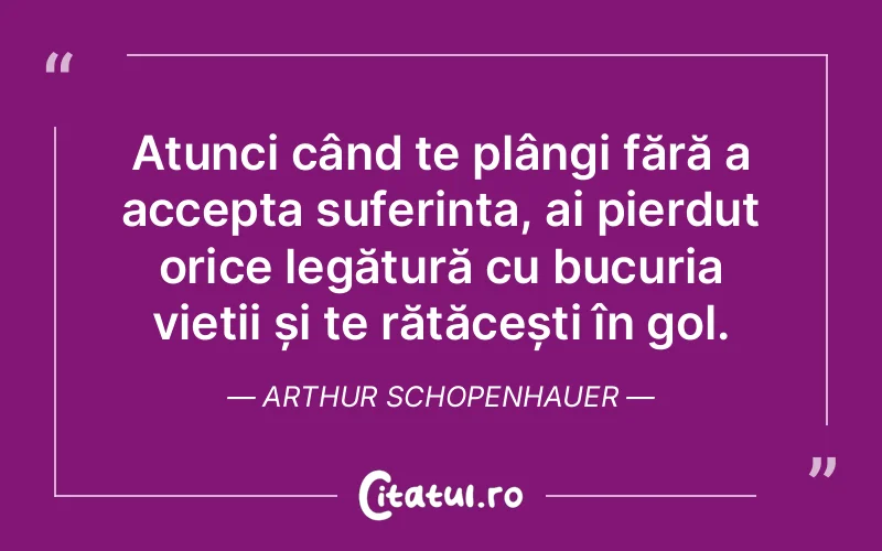 Citat Arthur Schopenhauer - citate spiritualitate
