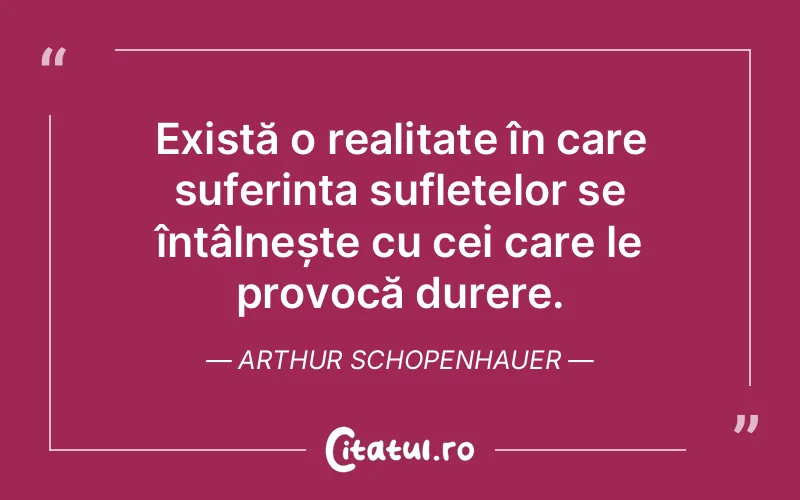 Citat Arthur Schopenhauer - citate spiritualitate