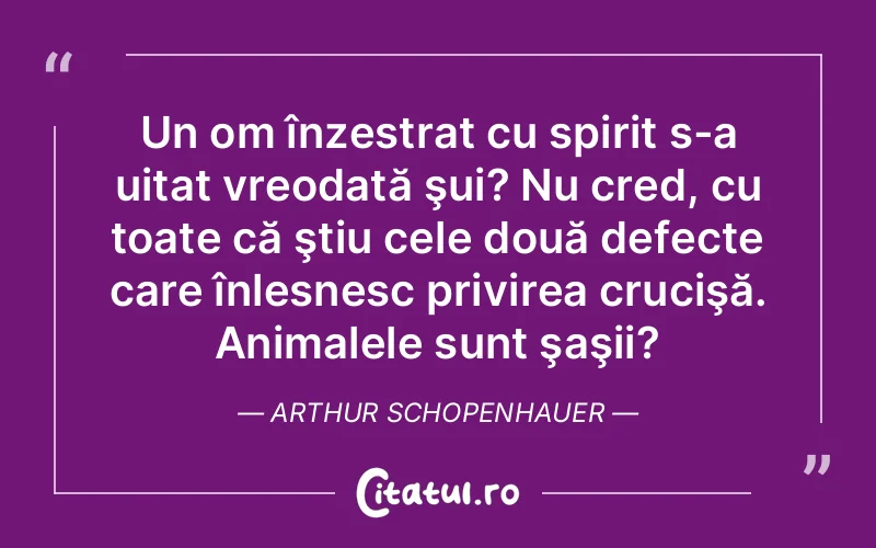 Un om înzestrat cu spirit s-a uitat vreodată şui? Nu cred, cu toate că ştiu cele două defecte care înlesnesc privirea crucişă. Animalele sunt şaşii?	Arthur Schopenhauer