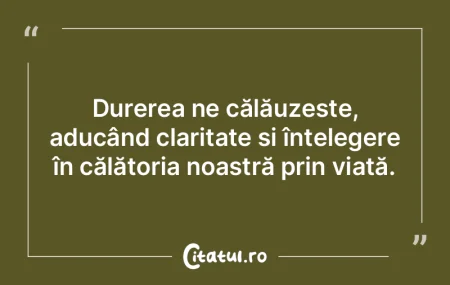 Durerea ne călăuzește, aducând clari... Durerea ne călăuzește, aducând clari...