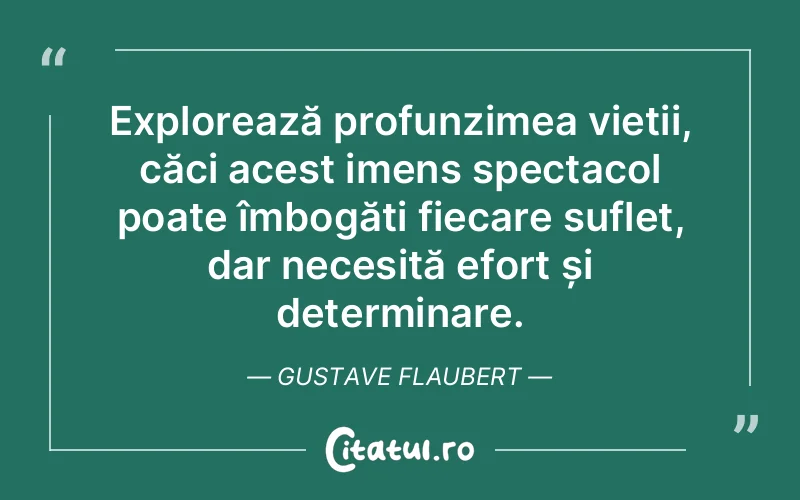 Citat Gustave Flaubert - citate spiritualitate