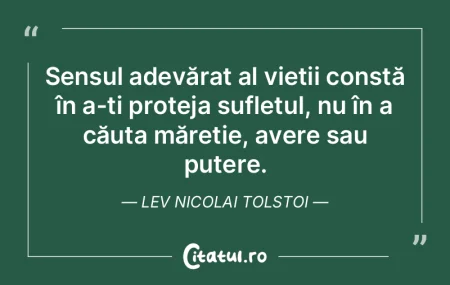 Sensul adevărat al vieții constă în ... Sensul adevărat al vieții constă în ...