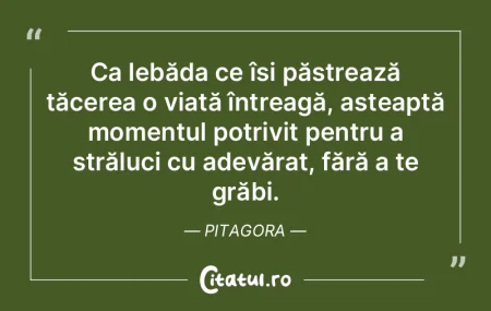 Ca lebăda ce își păstrează tăcerea...