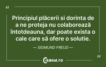 Principiul plăcerii și dorința de a n... Principiul plăcerii și dorința de a n...