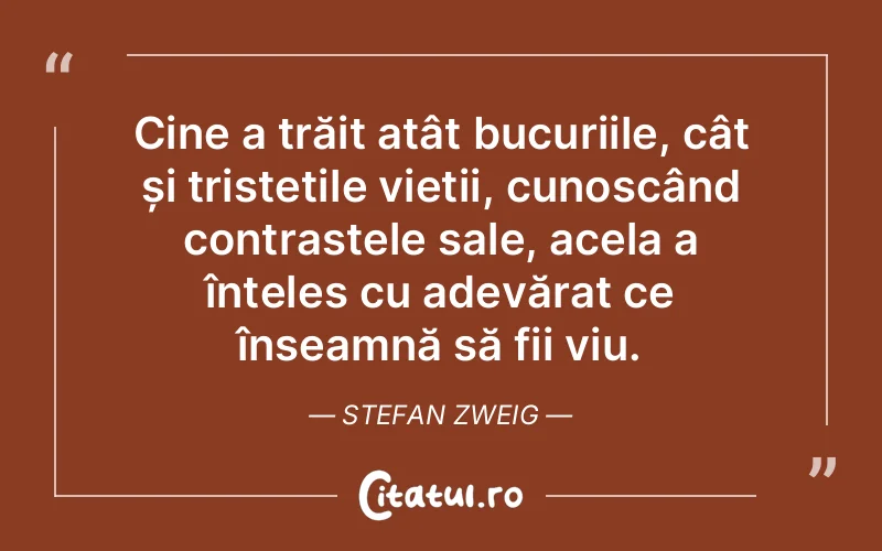 Citat Stefan Zweig - citate spiritualitate