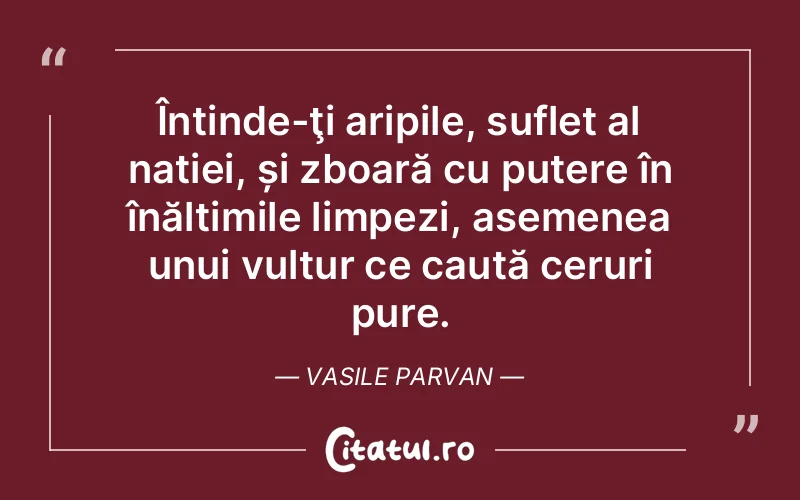 Întinde-ţi aripile, suflet al nației, și zboară cu putere în înălțimile limpezi, asemenea unui vultur ce caută ceruri pure. Vasile Parvan