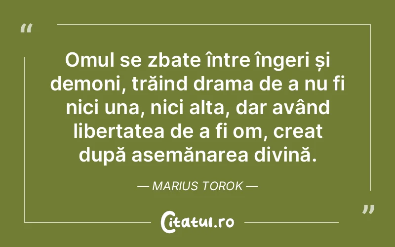 Citat Marius Torok - citate spiritualitate