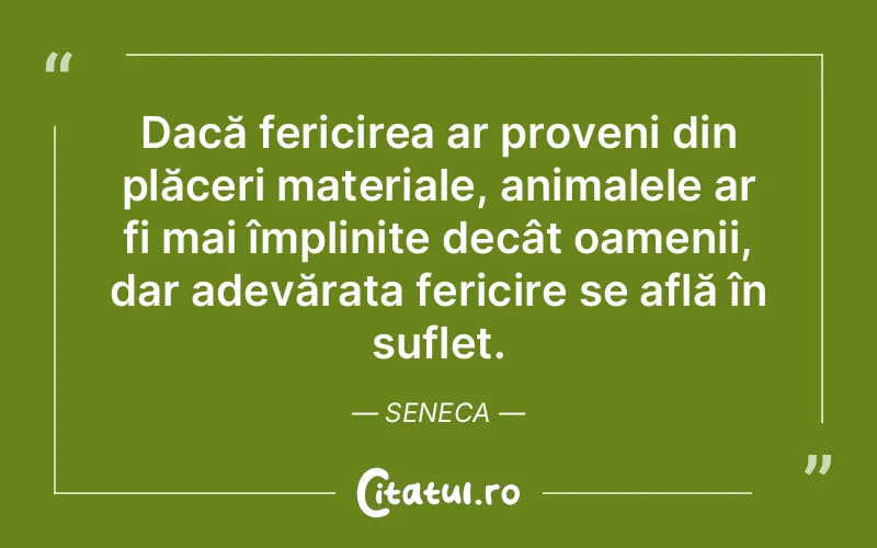 Citat Seneca - citate spiritualitate