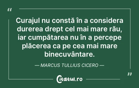 Curajul nu constă în a considera durer... Curajul nu constă în a considera durer...