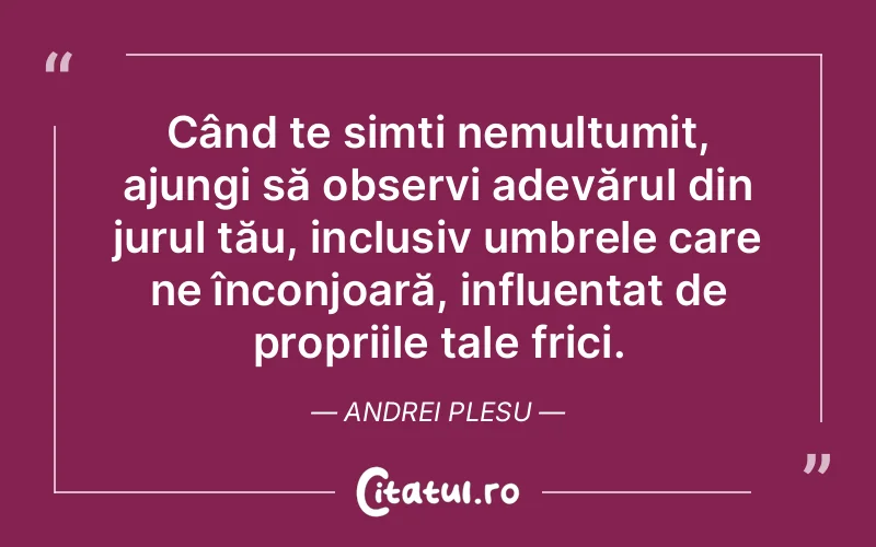 Citat Andrei Plesu - citate spiritualitate