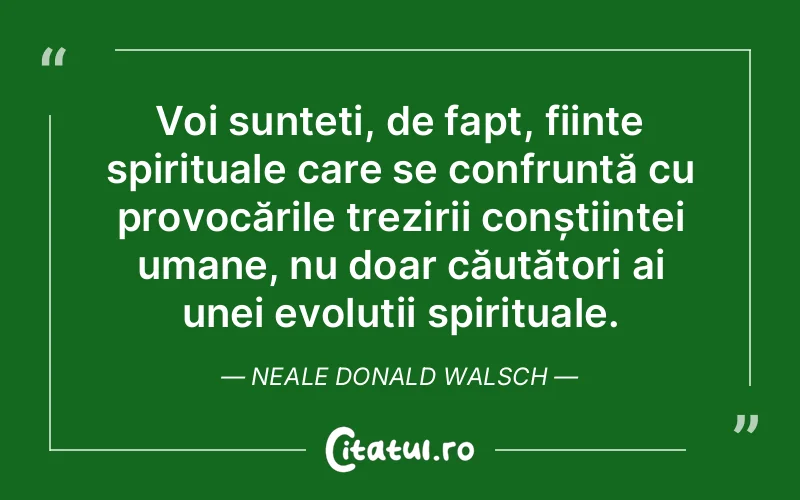 Citat Neale Donald Walsch - citate spiritualitate