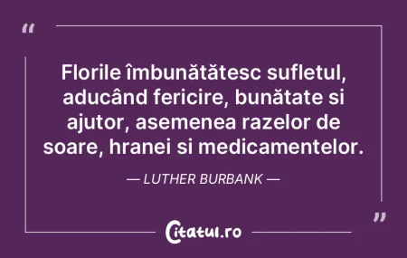 Florile îmbunătățesc sufletul, aducÃ... Florile îmbunătățesc sufletul, aducÃ...
