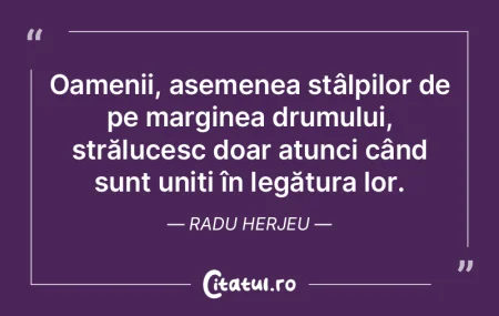 Oamenii, asemenea stâlpilor de pe margi... Oamenii, asemenea stâlpilor de pe margi...