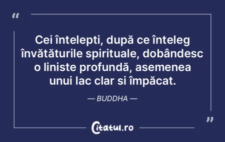 Cei înțelepți, după ce înțeleg în... Cei înțelepți, după ce înțeleg în...