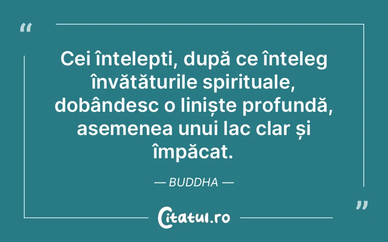 Citat Buddha - citate spiritualitate