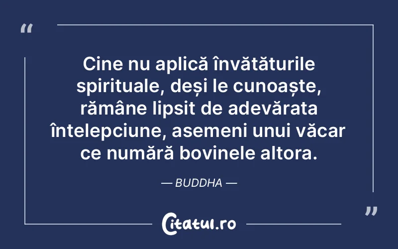 Citat Buddha - citate spiritualitate