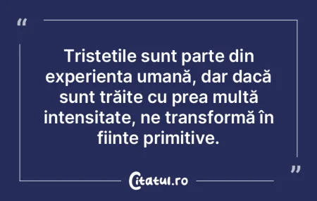 Tristețile sunt parte din experiența u... Tristețile sunt parte din experiența u...