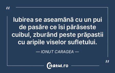 Iubirea se aseamănă cu un pui de pasă... Iubirea se aseamănă cu un pui de pasă...