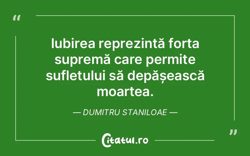 Citat Dumitru Staniloae - citate spiritualitate