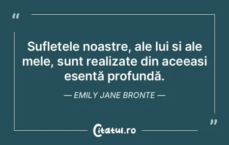 Sufletele noastre, ale lui și ale mele,... Sufletele noastre, ale lui și ale mele,...