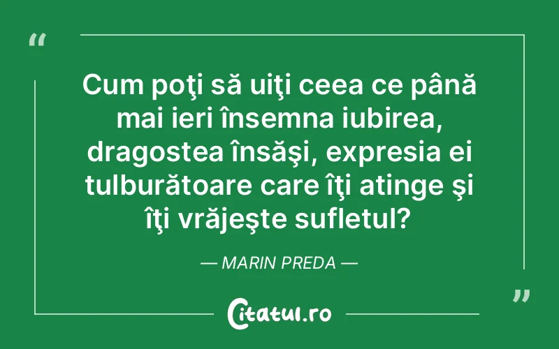 Citat Marin Preda - citate spiritualitate