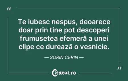 Te iubesc nespus, deoarece doar prin tin... Te iubesc nespus, deoarece doar prin tin...