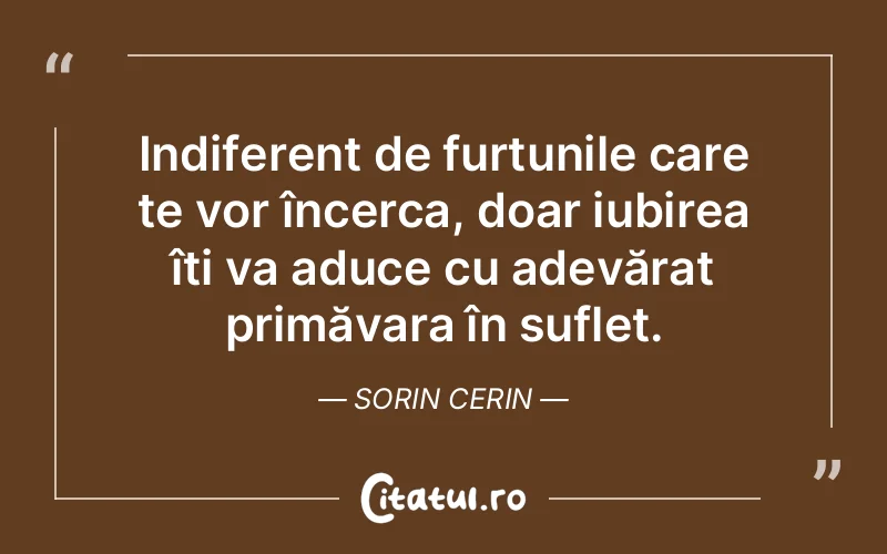 Citat Sorin Cerin - citate spiritualitate