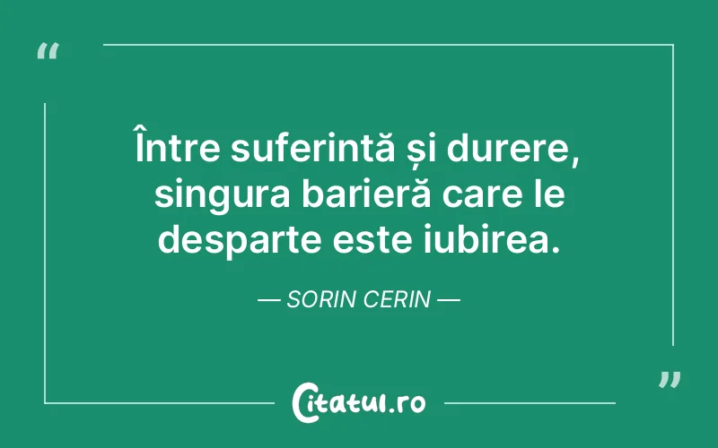 Citat Sorin Cerin - citate spiritualitate