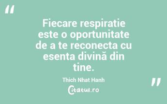 Fiecare respirație este o oportunitate de a te reconecta cu esența divină din tine. Thich Nhat Hanh...