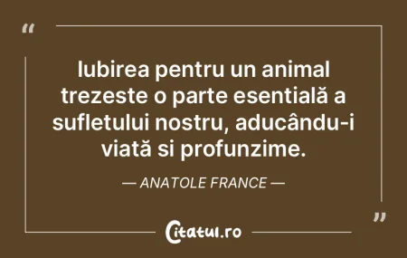 Iubirea pentru un animal trezește o par... Iubirea pentru un animal trezește o par...