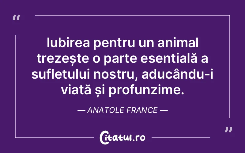 Citat Anatole France - citate spiritualitate