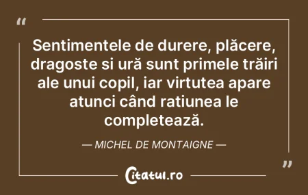 Sentimentele de durere, plăcere, dragos...
