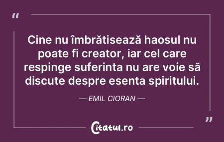 Cine nu îmbrățișează haosul nu poat... Cine nu îmbrățișează haosul nu poat...